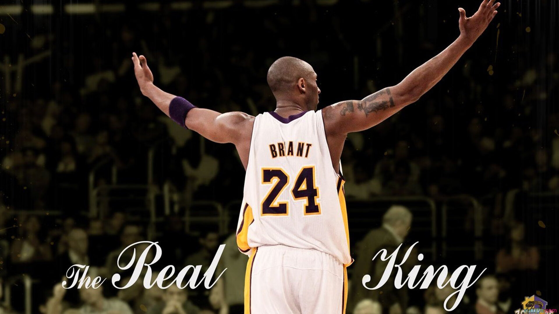 开云体育入口-莫兰特撕裂防线如入无人之境，灰熊狂胜热火提前三节终结悬念