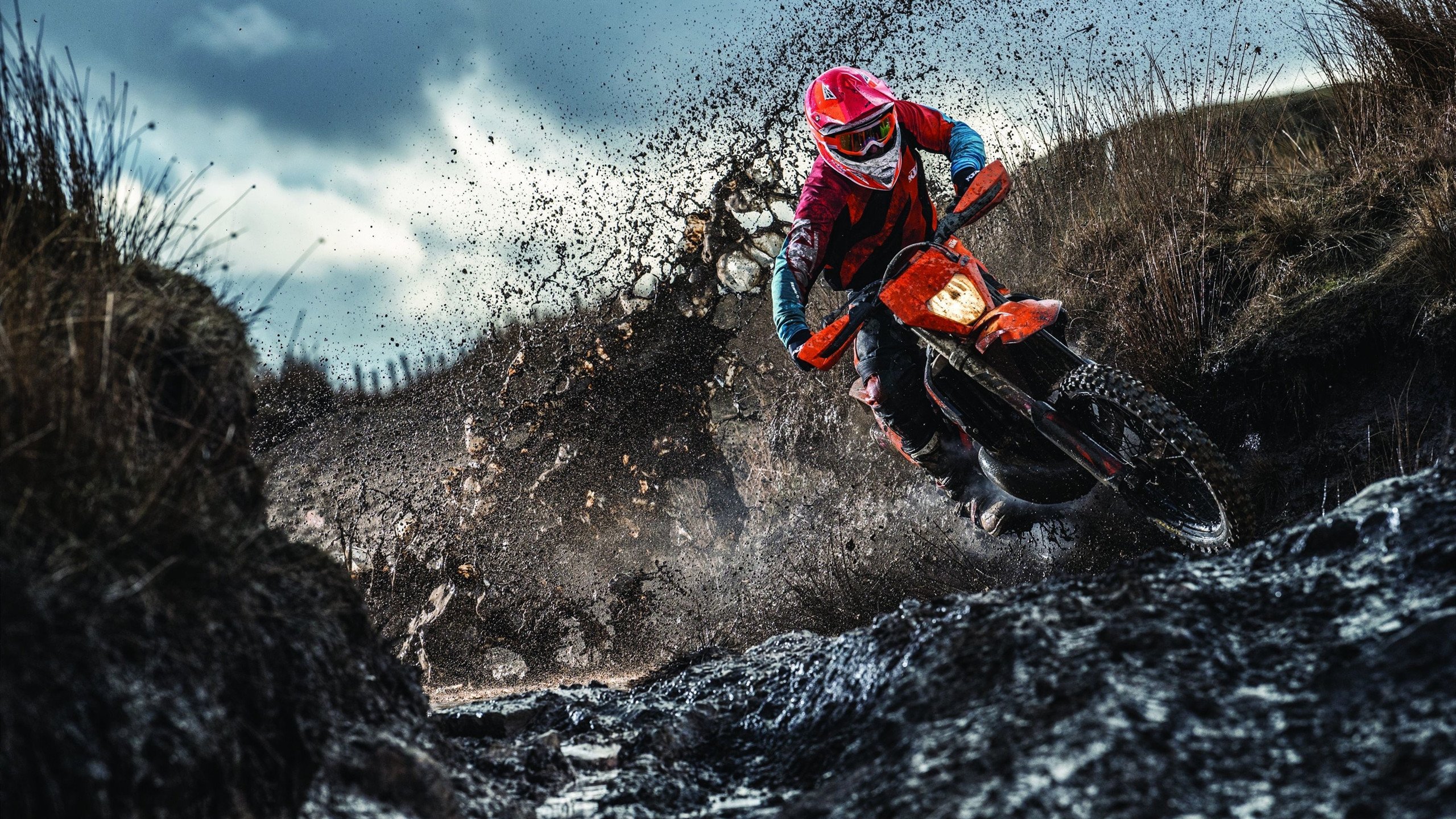 灰熊对阵雄鹿,浓眉全程高能输出,诠释现代篮球的统治力